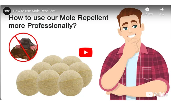 How to use Mole Repellent more professionally?